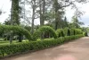 Aburi-Botanical-Garden-6