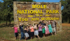Mole-National-Park-2