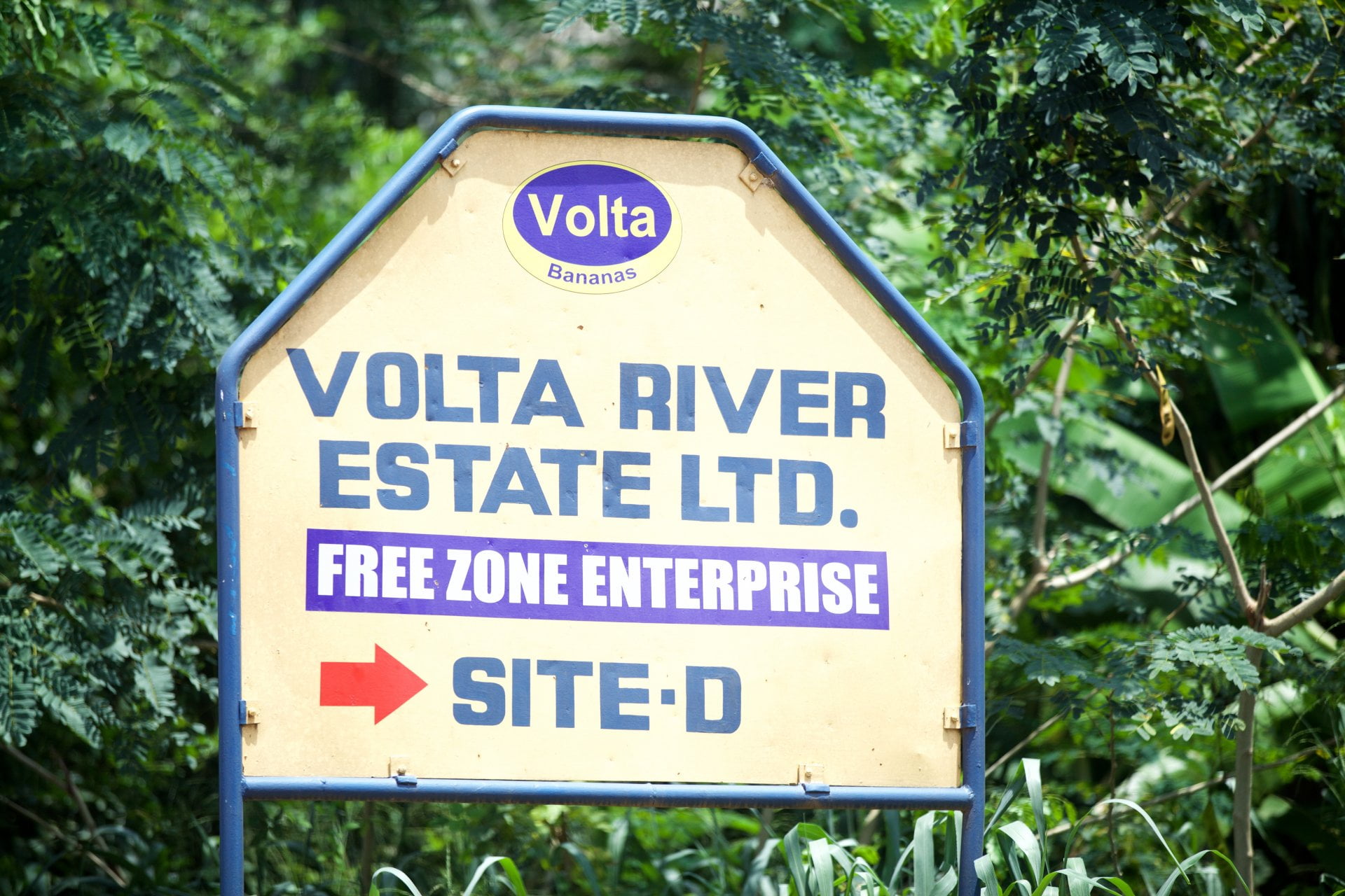 Volta River Estate Ltd. 4