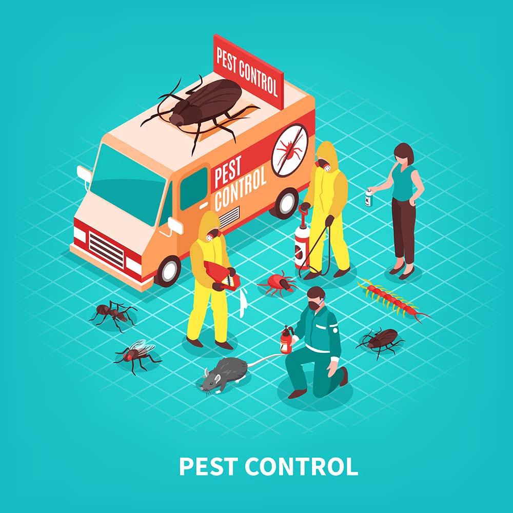 Top Pest Control & Fumigation Companies in Ghana