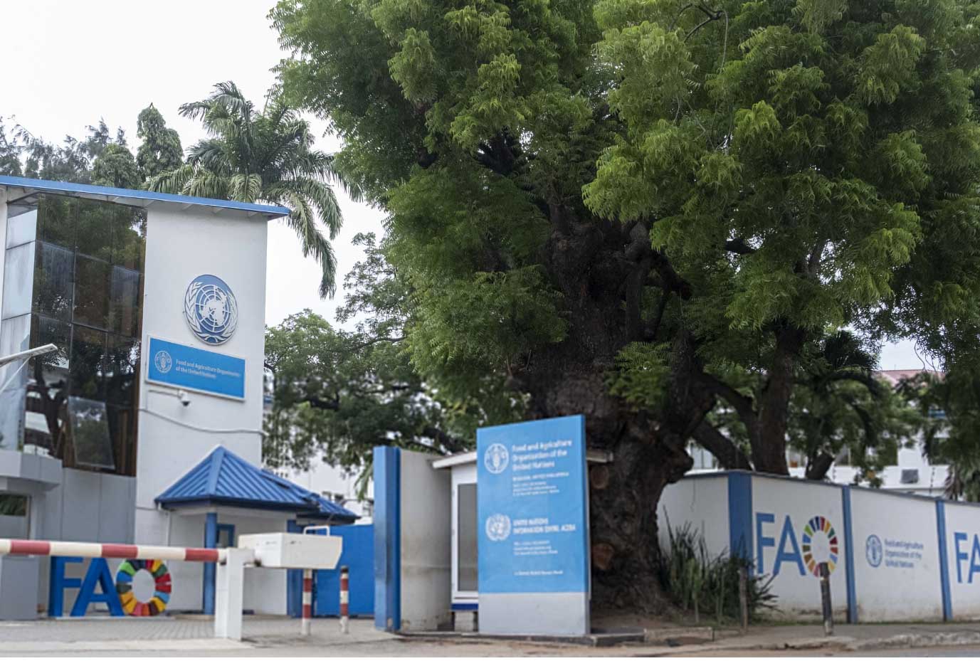 fao